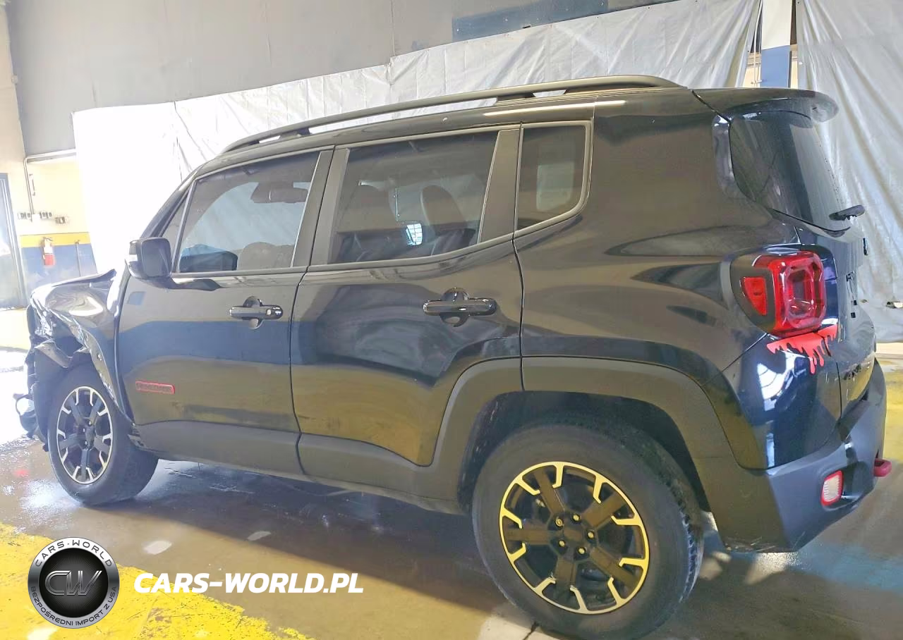 2023 Jeep Renegade Trailhawk VIN:ZACNJDC16PPP30138 - 2
