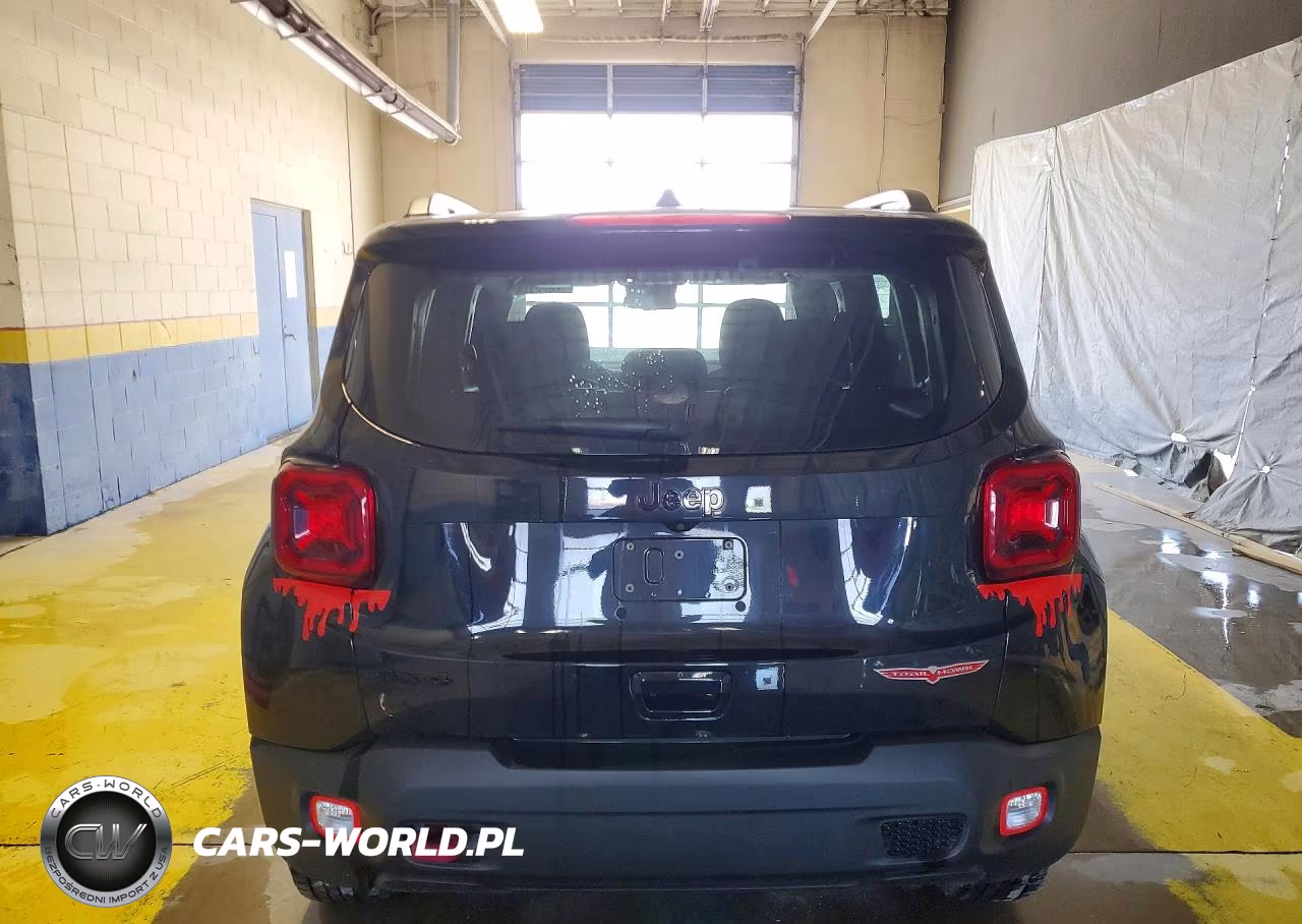 2023 Jeep Renegade Trailhawk VIN:ZACNJDC16PPP30138 - 6
