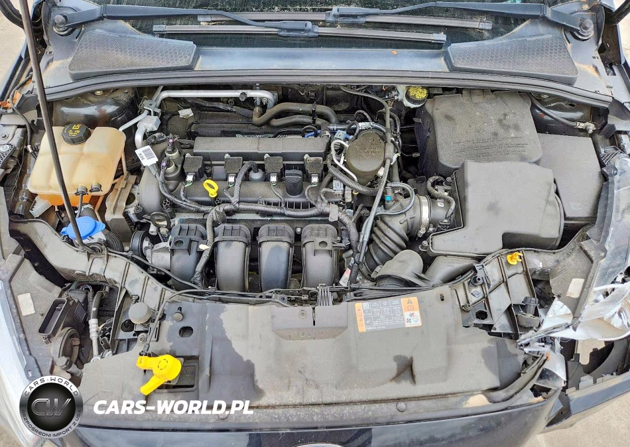 2015 Ford Focus Se VIN:1FADP3F29FL379813 - 11