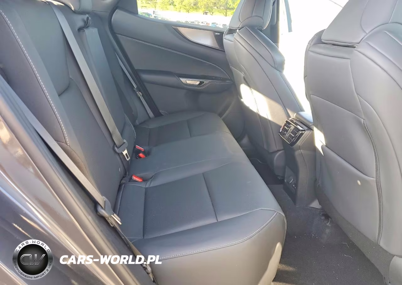 2024 Lexus Nx 350 F Sport Handling VIN:2T2KGCEZ3RC049608 - 10