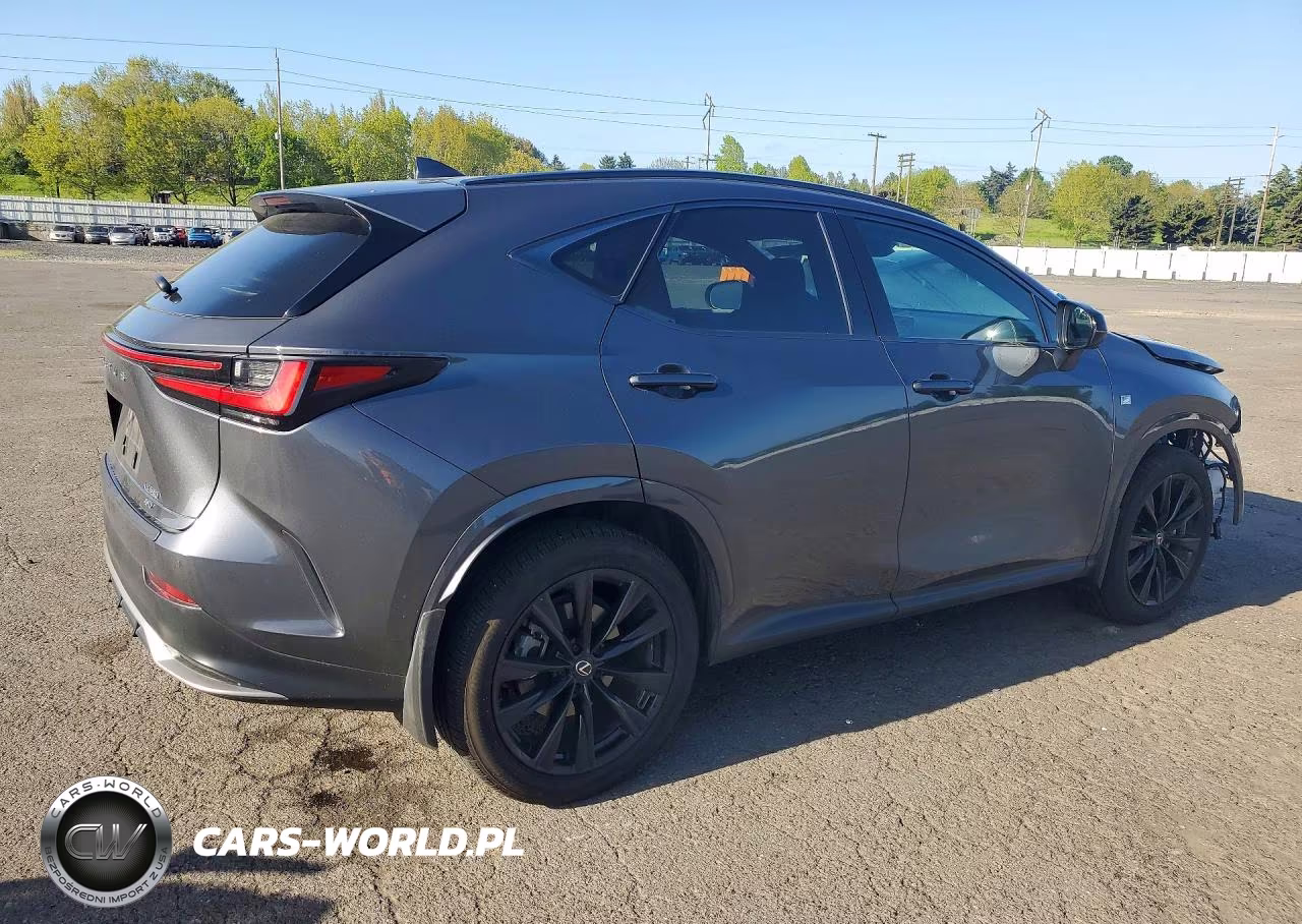 2024 Lexus Nx 350 F Sport Handling VIN:2T2KGCEZ3RC049608 - 3