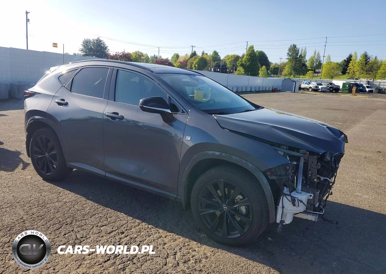 2024 Lexus Nx 350 F Sport Handling VIN:2T2KGCEZ3RC049608 - 4