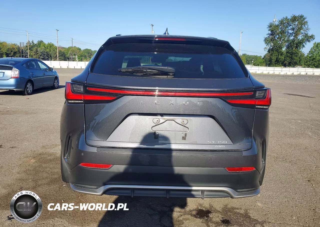 2024 Lexus Nx 350 F Sport Handling VIN:2T2KGCEZ3RC049608 - 6