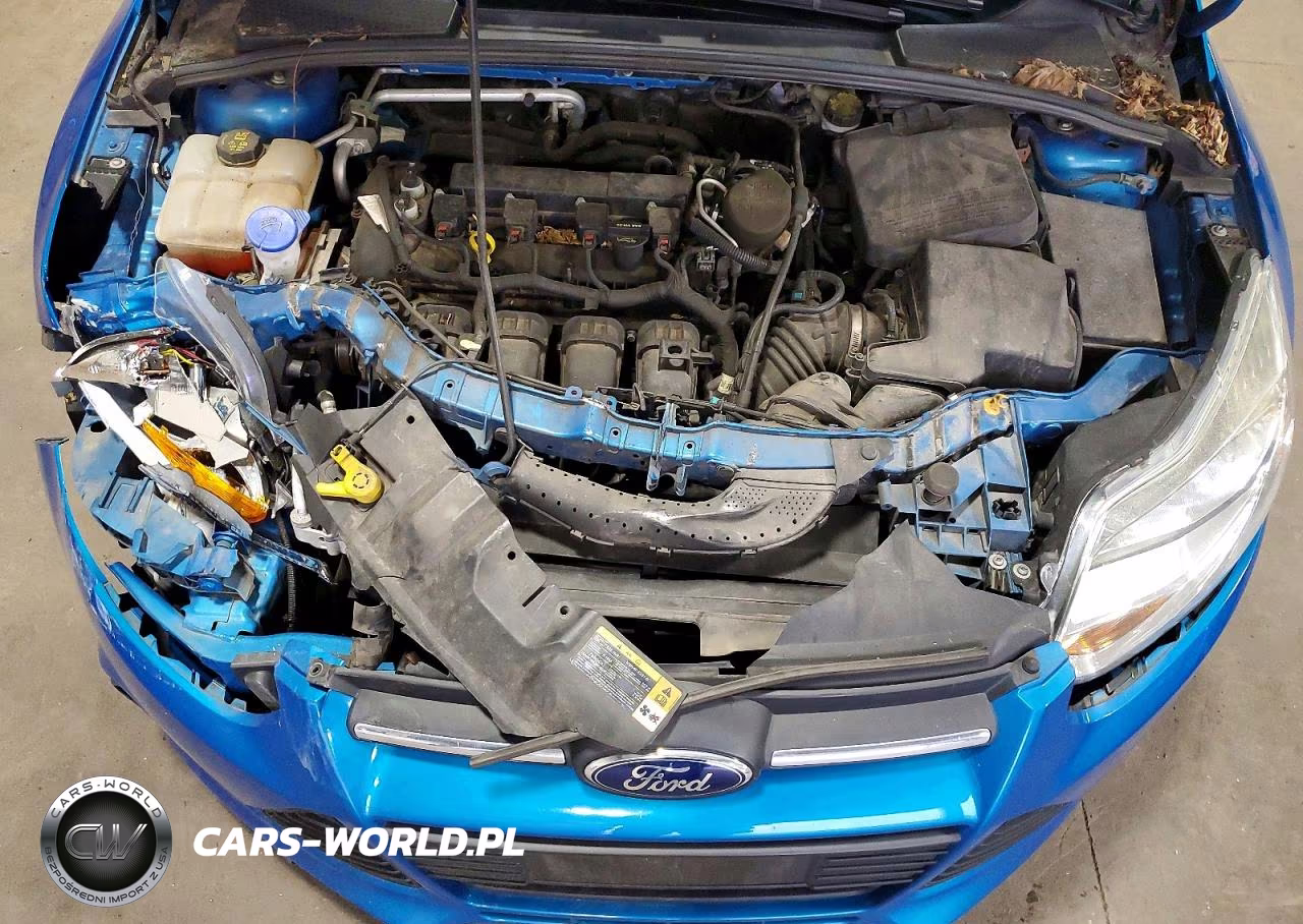 2014 Ford Focus Se VIN:1FADP3F24EL112562 - 11