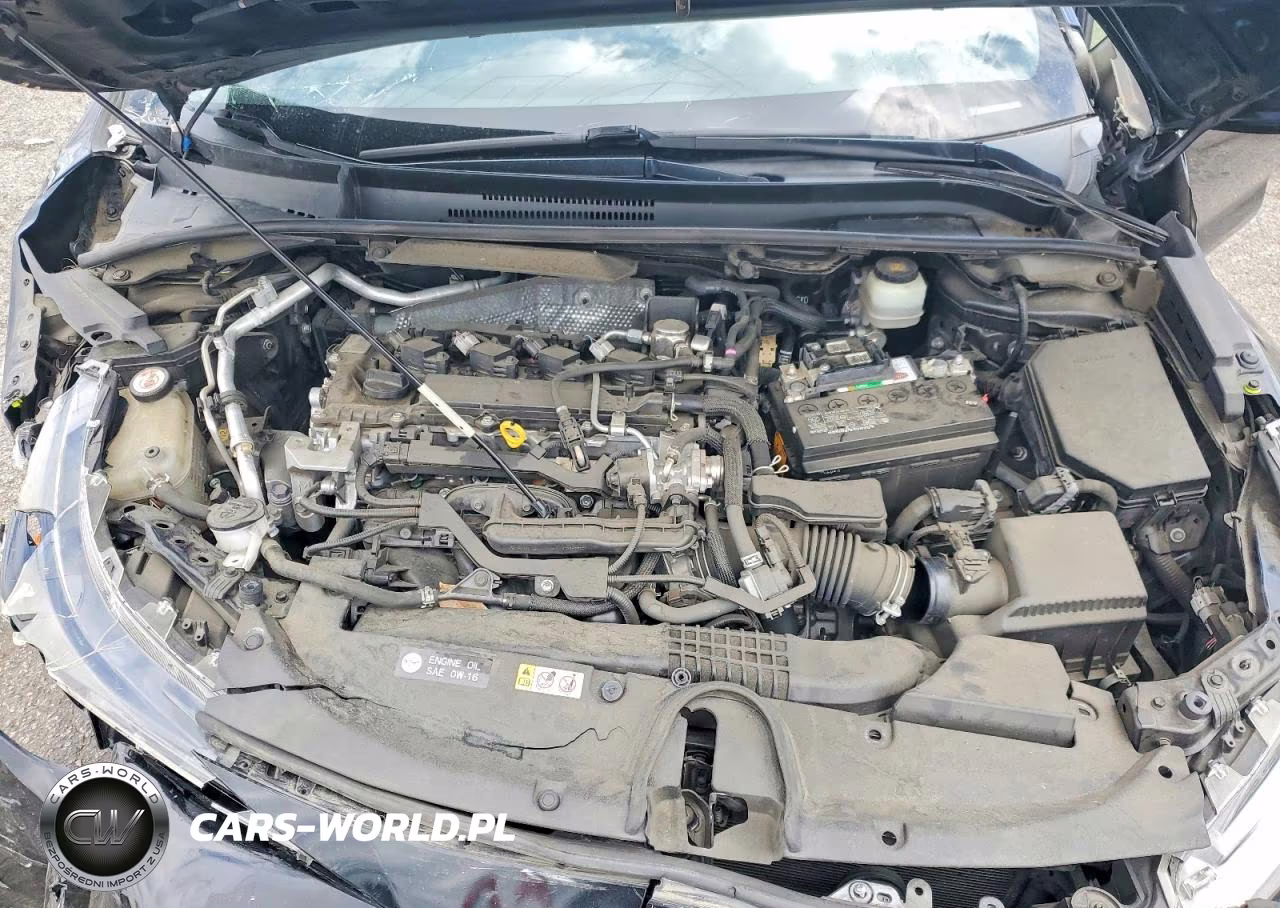 2019 Toyota Corolla Hatchback Se VIN:JTNK4RBE2K3026929 - 11