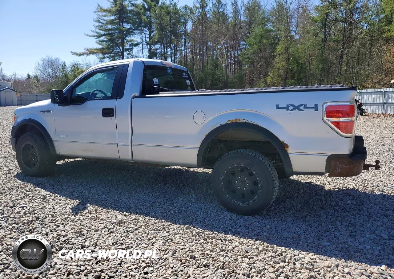 2012 Ford F150 VIN:1FTNF1ET6CKE01817 - 2