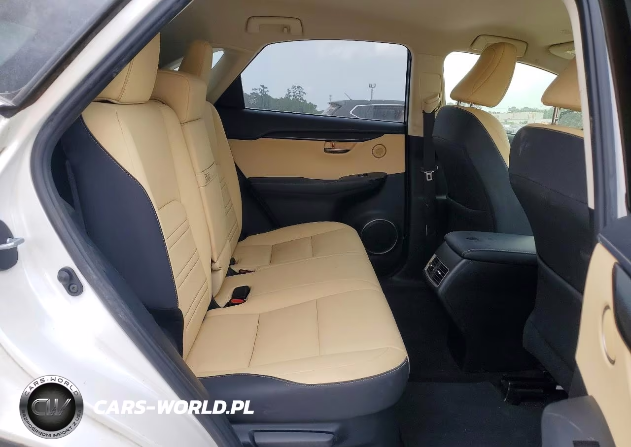 2019 Lexus Nx 300 Base VIN:JTJYARBZ3K2118595 - 11