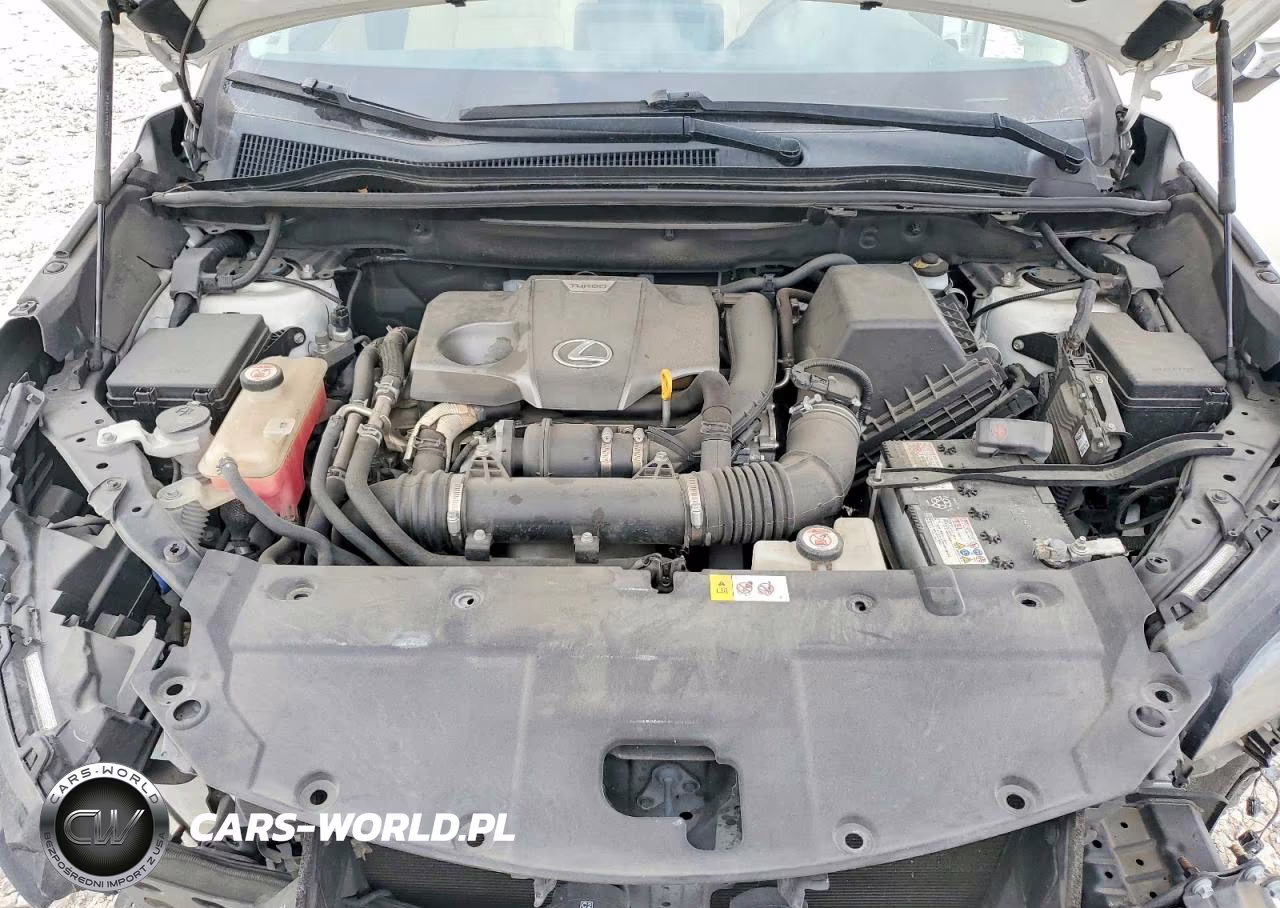 2019 Lexus Nx 300 Base VIN:JTJYARBZ3K2118595 - 12
