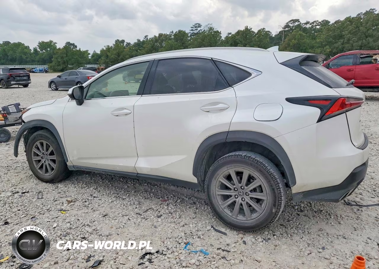 2019 Lexus Nx 300 Base VIN:JTJYARBZ3K2118595 - 2