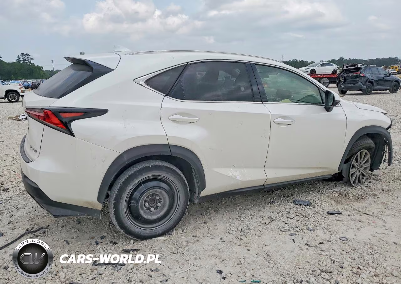 2019 Lexus Nx 300 Base VIN:JTJYARBZ3K2118595 - 3