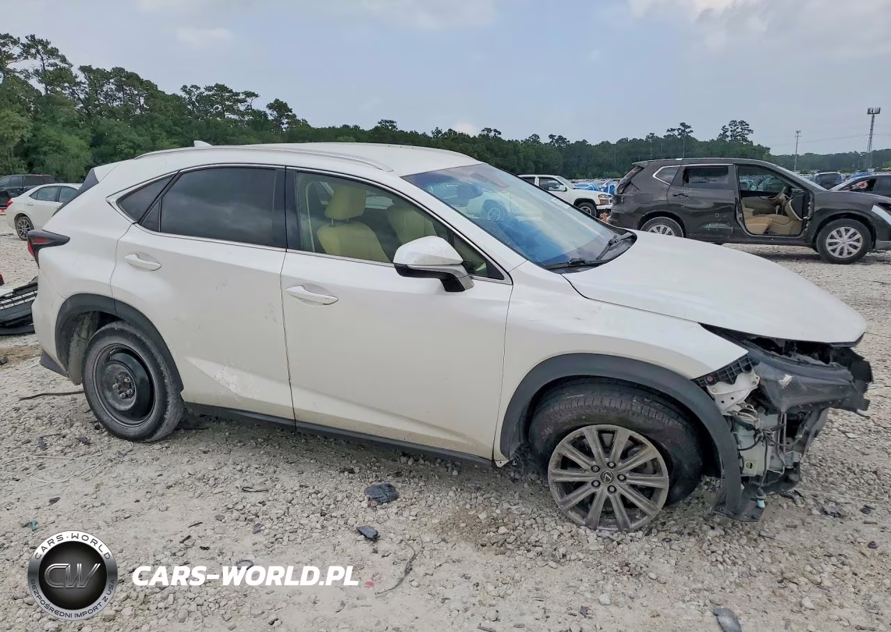 2019 Lexus Nx 300 Base VIN:JTJYARBZ3K2118595 - 4