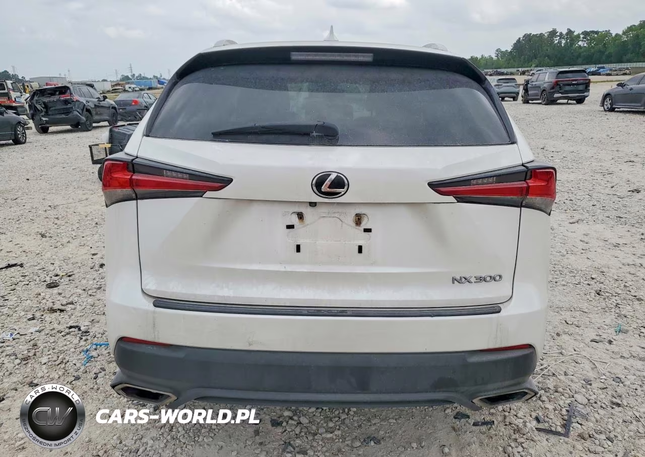2019 Lexus Nx 300 Base VIN:JTJYARBZ3K2118595 - 6