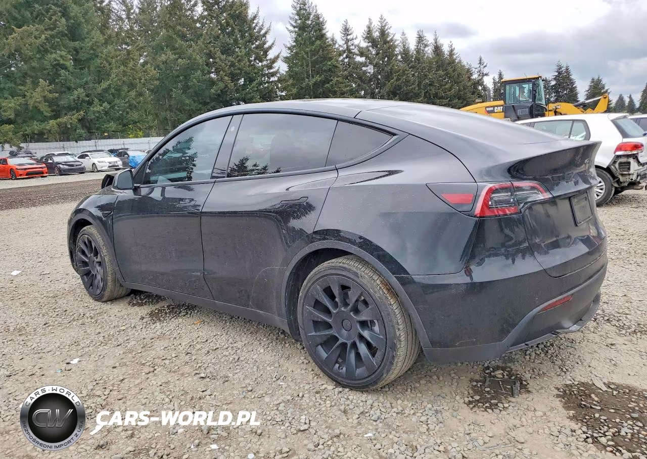 2022 Tesla Model Y VIN:7SAYGDEE2NF366015 - 2