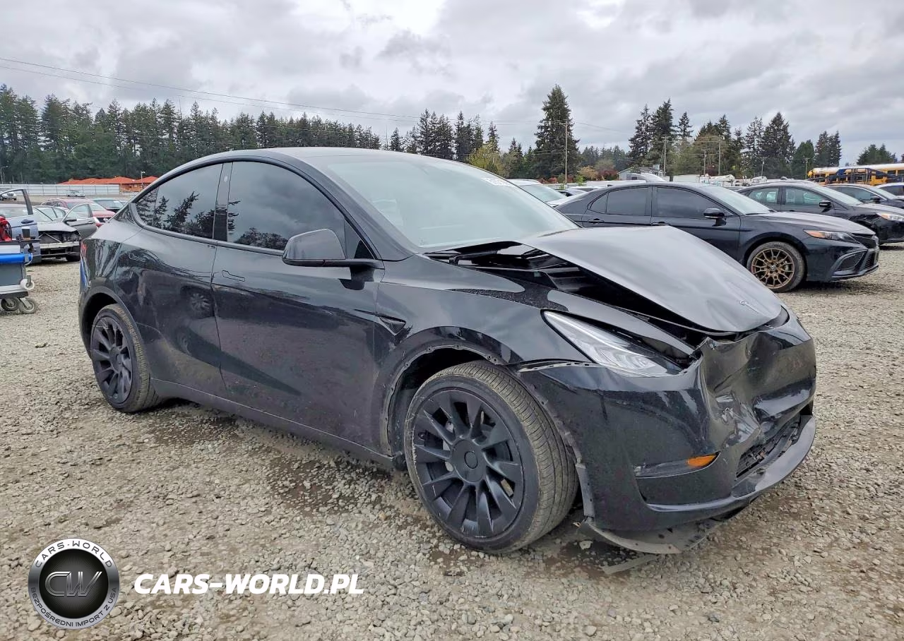 2022 Tesla Model Y VIN:7SAYGDEE2NF366015 - 4