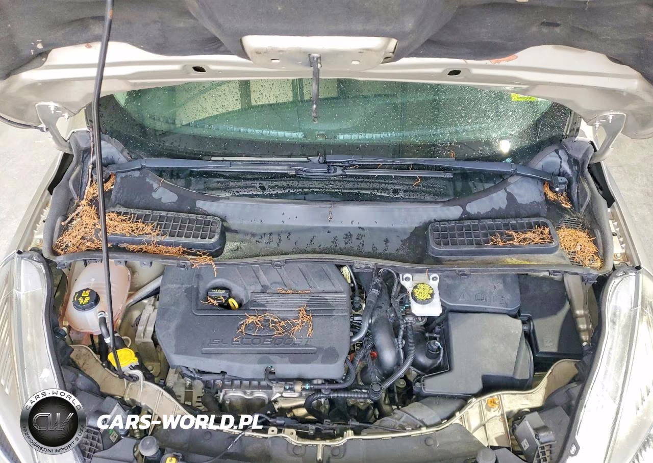 2018 Ford Escape Sel VIN:1FMCU0HD9JUA81983 - 12