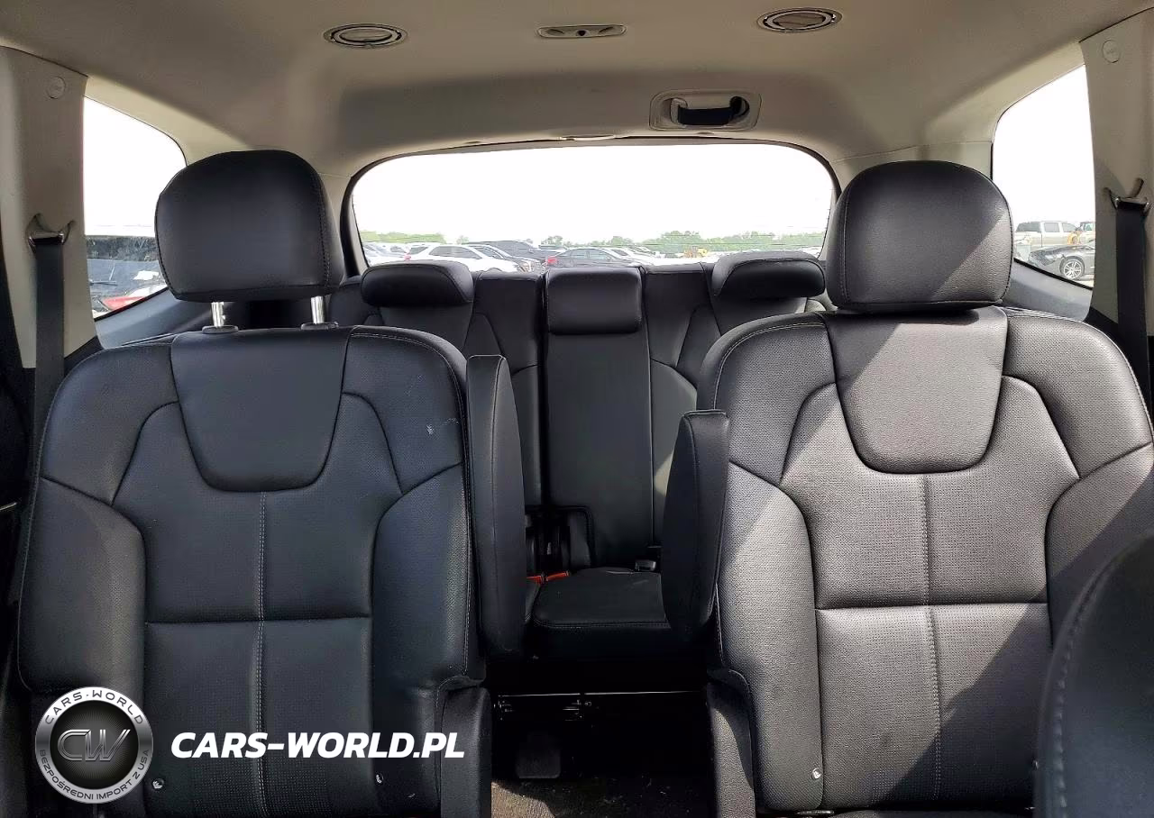 2021 Kia Telluride Ex VIN:5XYP3DHC0MG099379 - 10