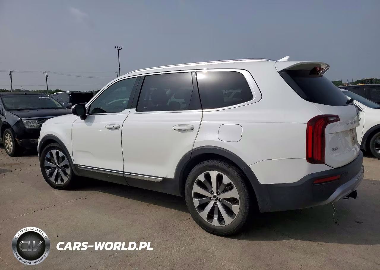 2021 Kia Telluride Ex VIN:5XYP3DHC0MG099379 - 2
