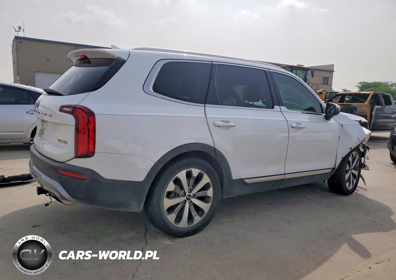 2021 Kia Telluride Ex VIN:5XYP3DHC0MG099379 - 3