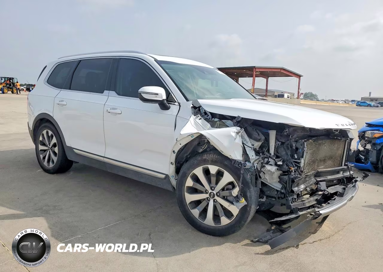 2021 Kia Telluride Ex VIN:5XYP3DHC0MG099379 - 4