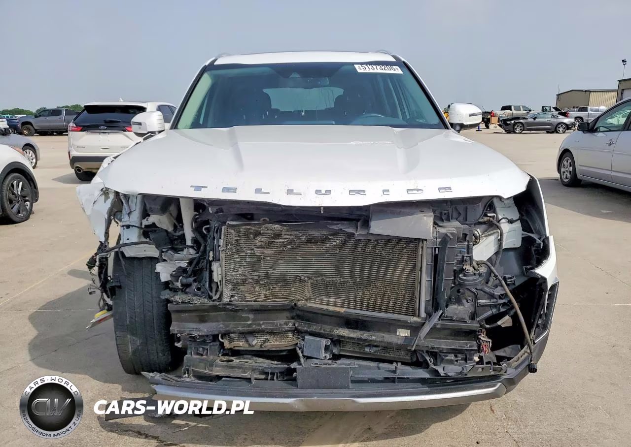 2021 Kia Telluride Ex VIN:5XYP3DHC0MG099379 - 5