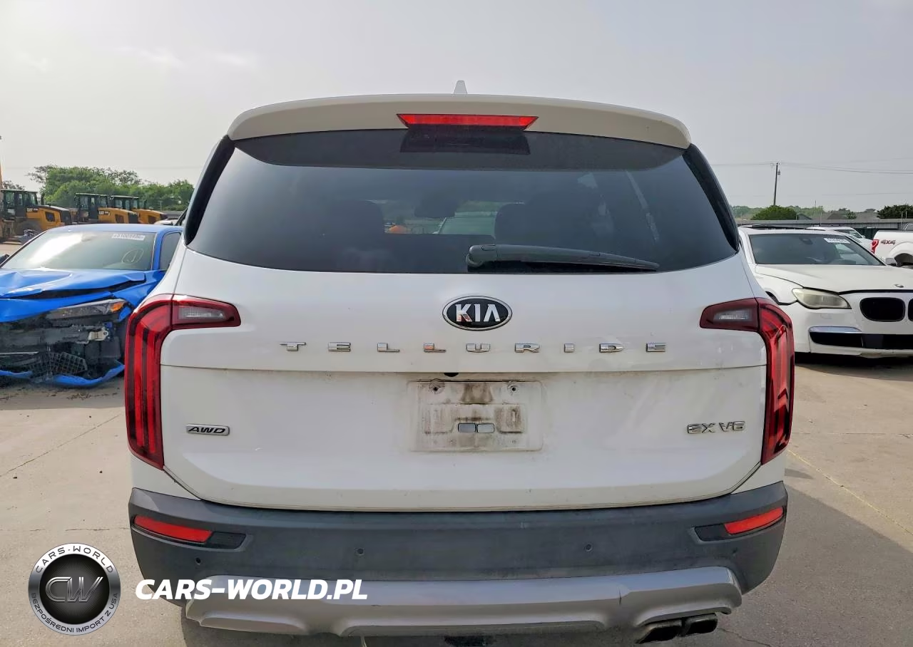2021 Kia Telluride Ex VIN:5XYP3DHC0MG099379 - 6