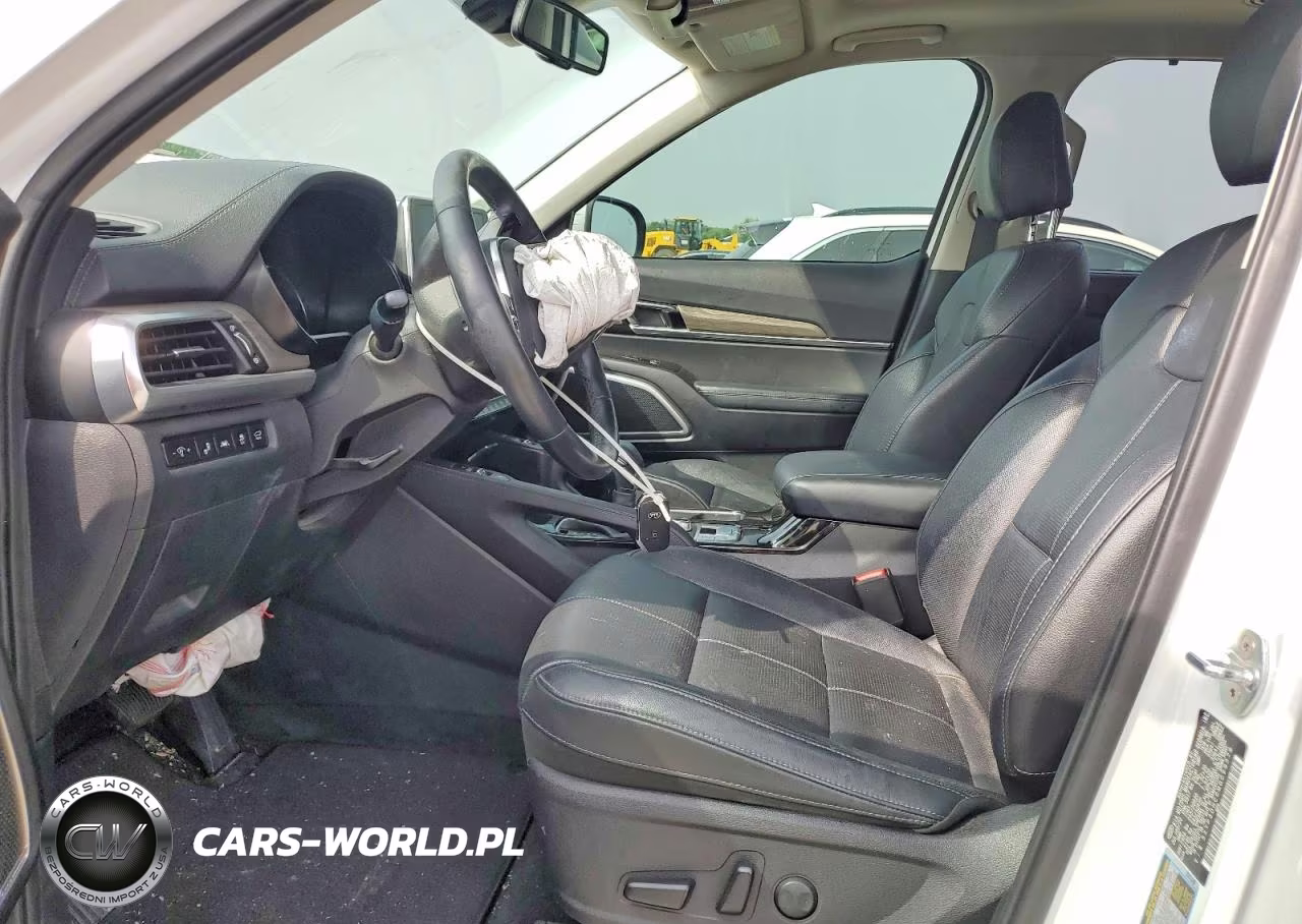 2021 Kia Telluride Ex VIN:5XYP3DHC0MG099379 - 7