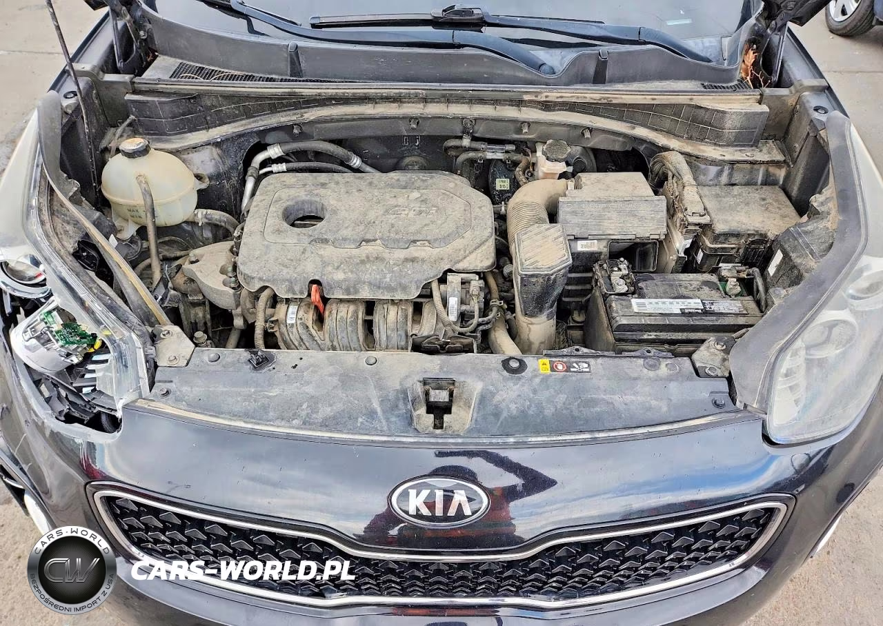 2018 Kia Sportage Lx VIN:KNDPMCACXJ7306659 - 12