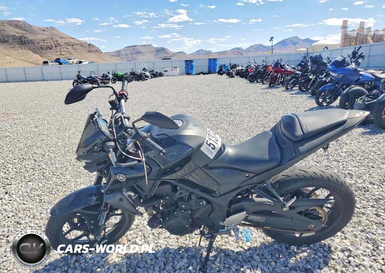 2020 Yamaha Mt-03 VIN:MH3RH20Y0LK003377 - 3