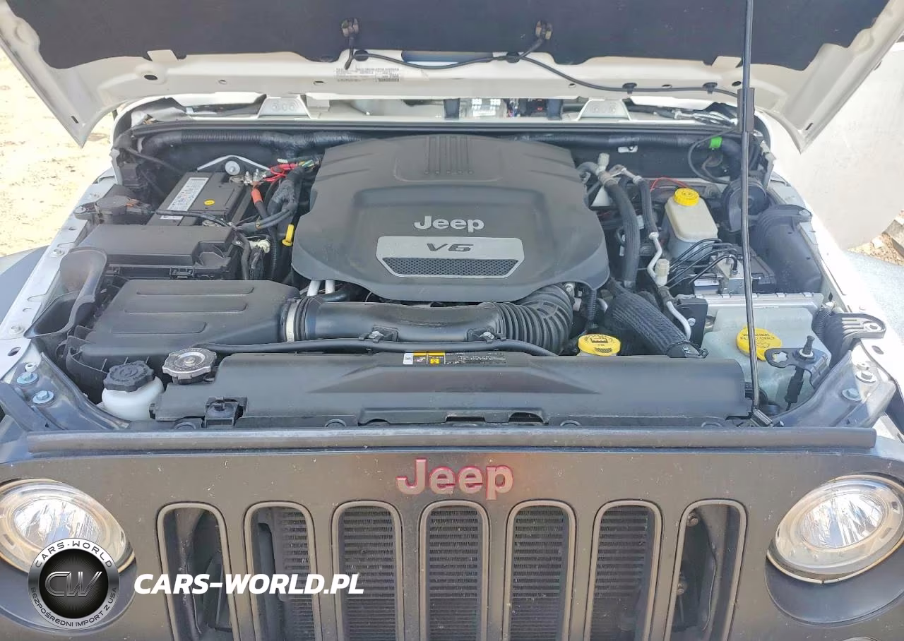 2018 Jeep Wgr 2D 4X4 Rubicon VIN:1C4BJWCG7JL910357 - 11