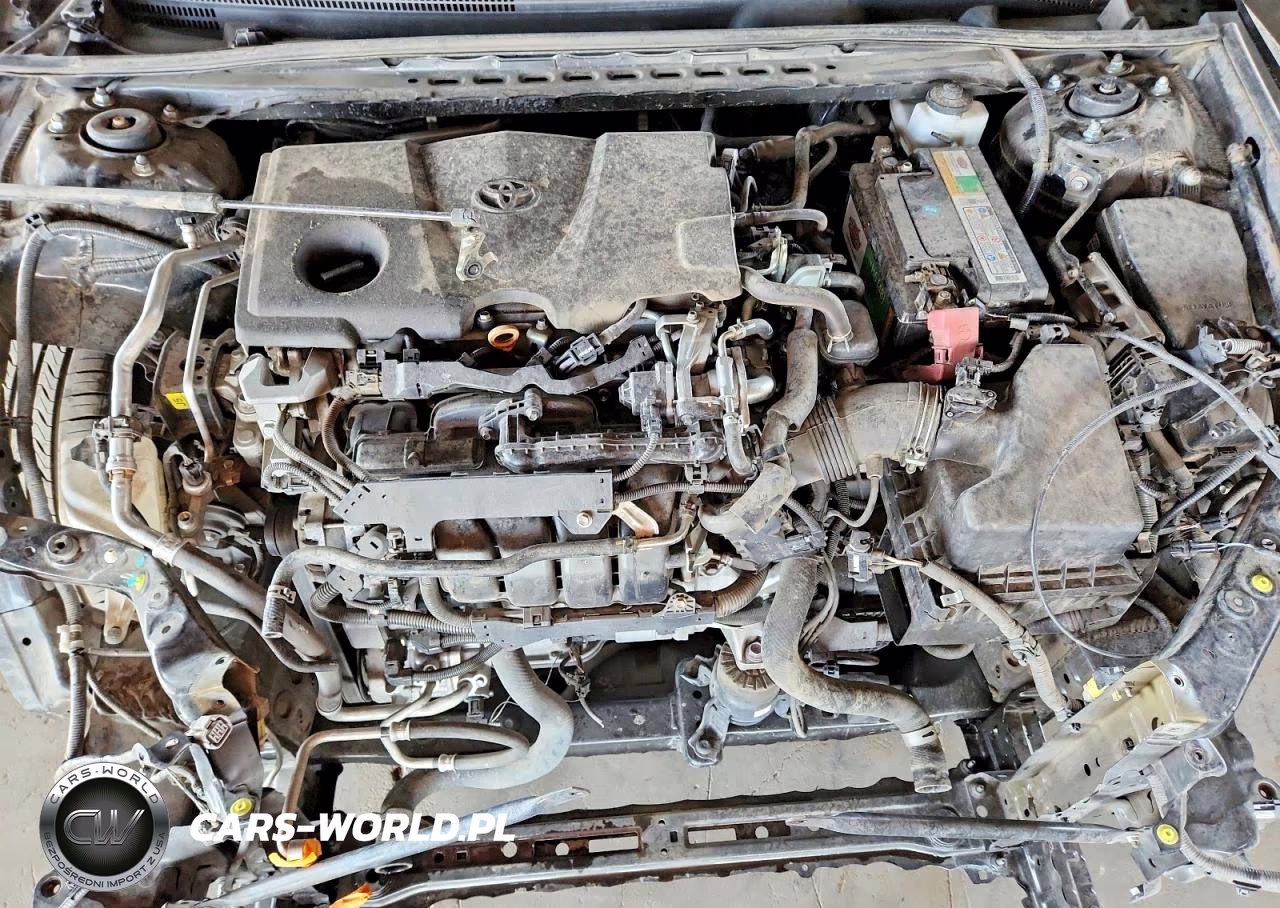 2019 Toyota Camry Le VIN:4T1B11HK3KU238854 - 11