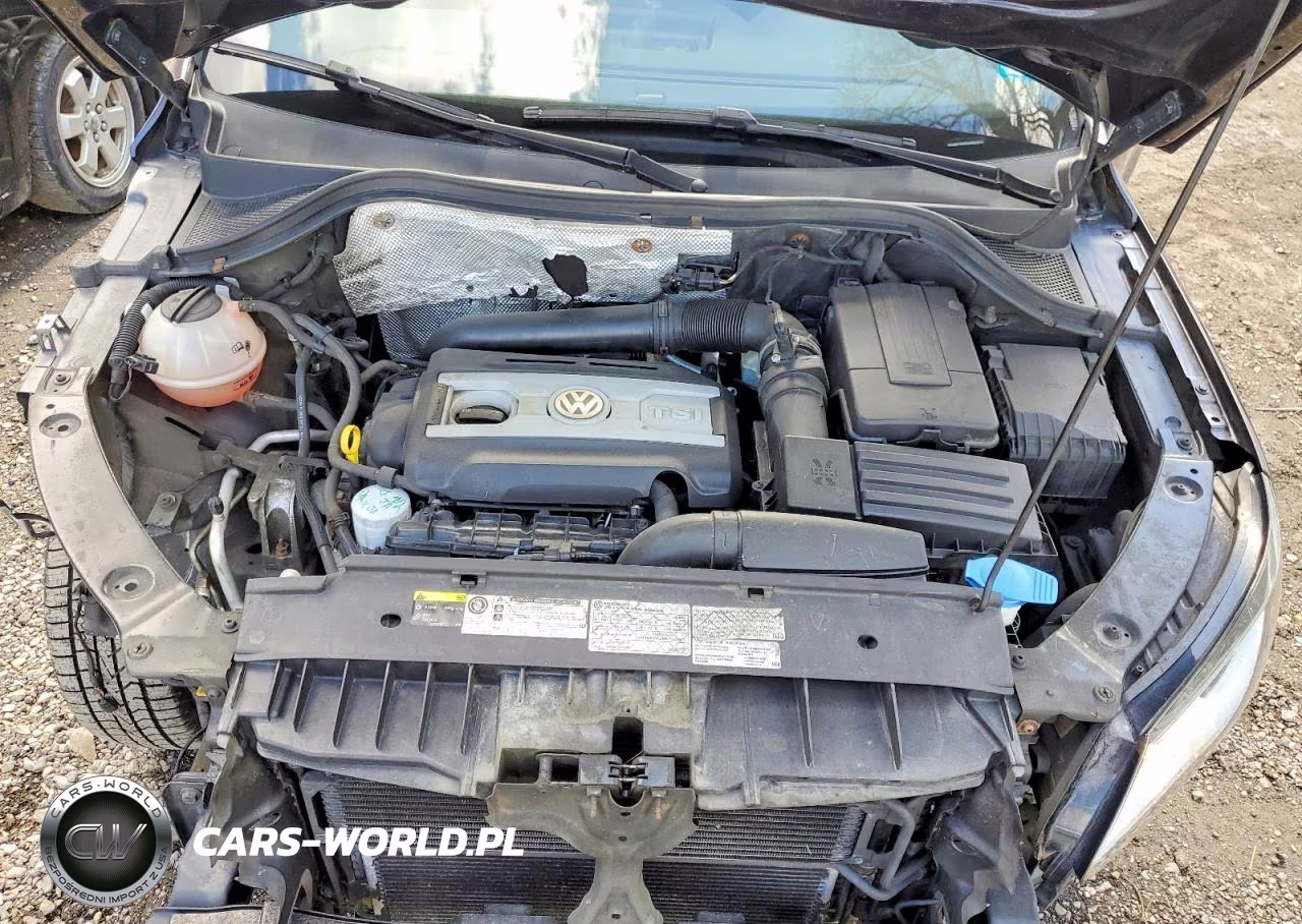 2016 Volkswagen Tiguan S VIN:WVGBV7AX5GW592805 - 12