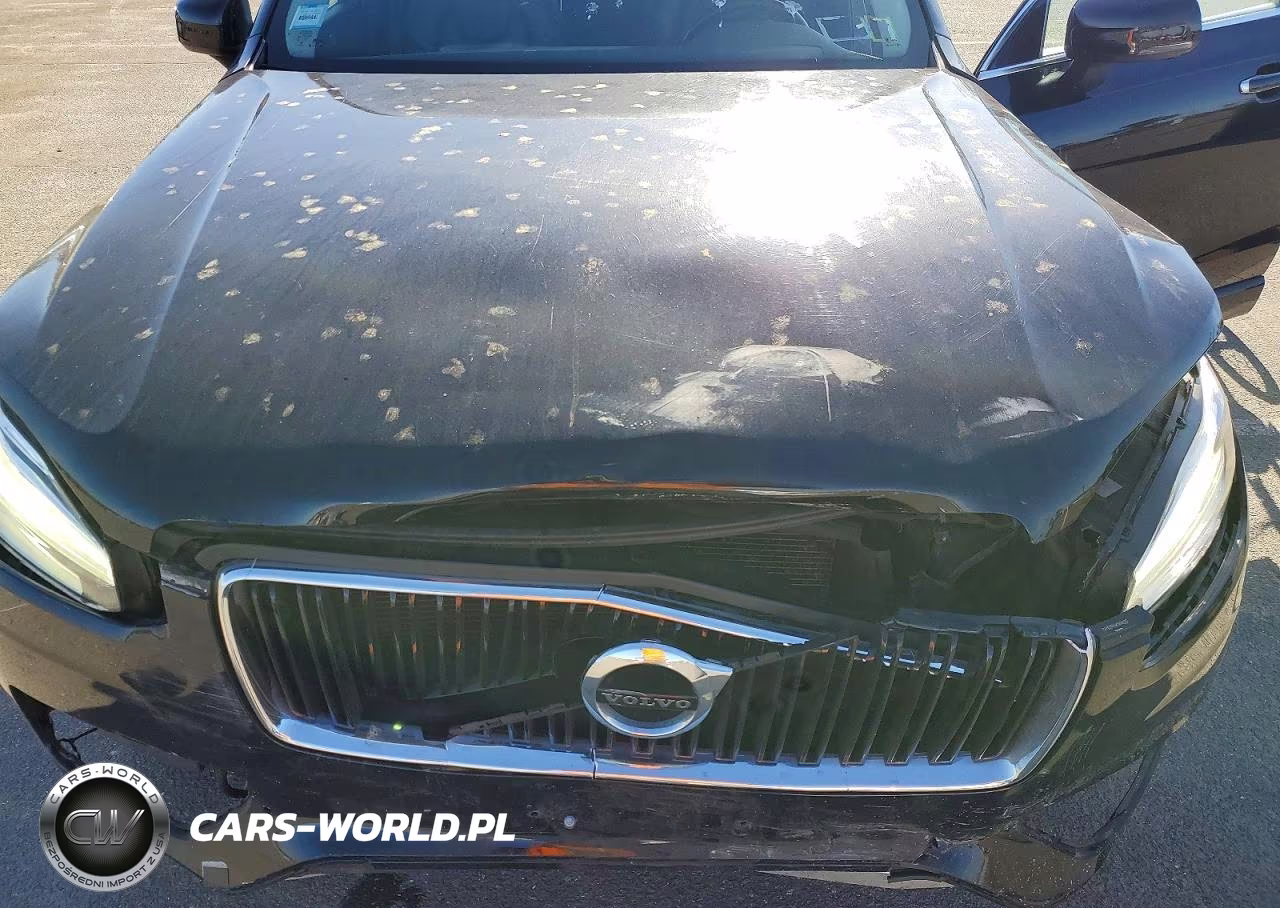 2019 Volvo Xc90 T5 Momentum VIN:YV4102PK4K1494025 - 12