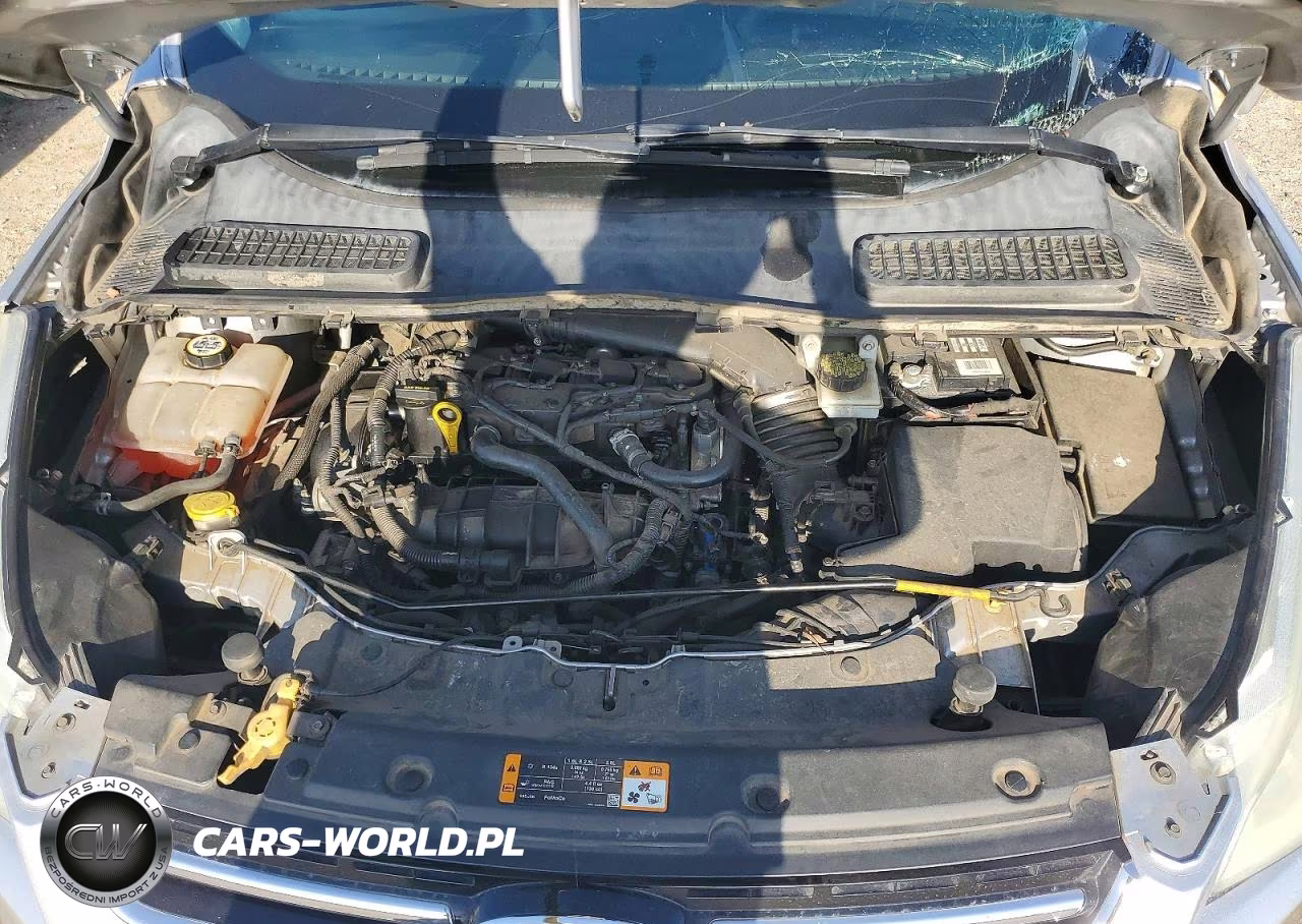 2013 Ford Escape Sel VIN:1FMCU0HX0DUB08602 - 11