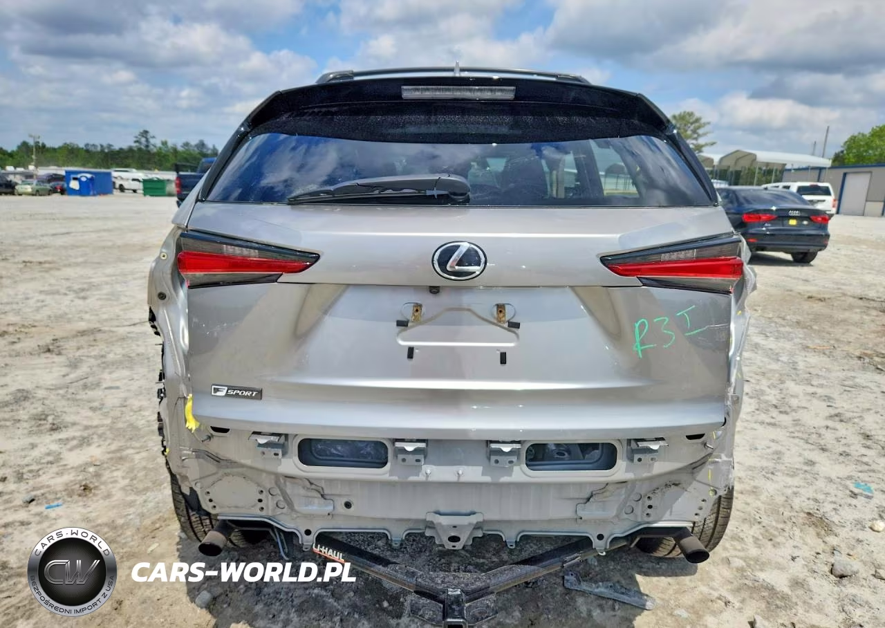 2018 Lexus Nx 300 F Sport VIN:JTJBARBZ1J2162292 - 6