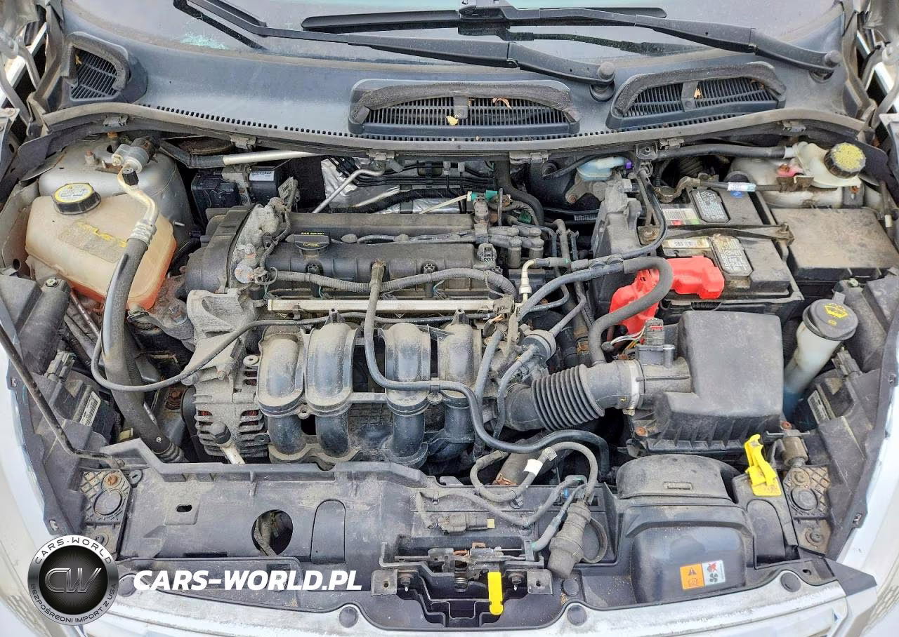 2013 Ford Fiesta Se VIN:3FADP4BJ4DM171658 - 11