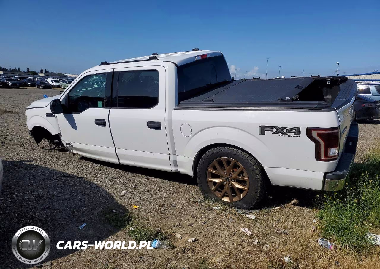 2015 Ford F150 Supercrew VIN:1FTEW1EF9FFA89841 - 2