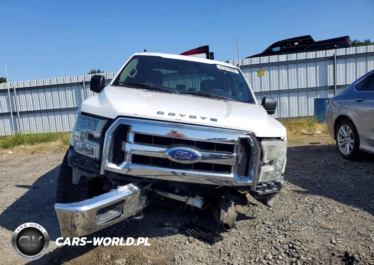 2015 Ford F150 Supercrew VIN:1FTEW1EF9FFA89841 - 5