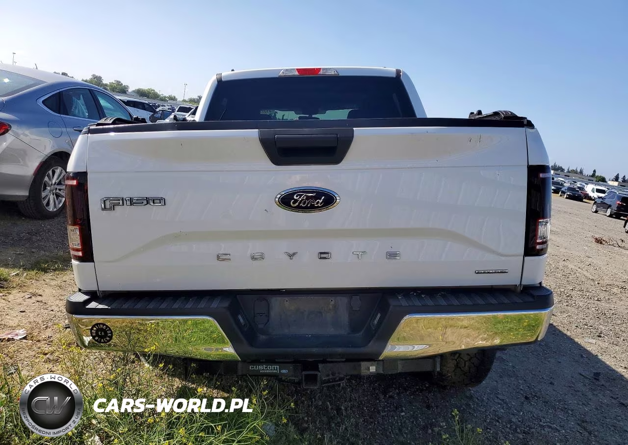 2015 Ford F150 Supercrew VIN:1FTEW1EF9FFA89841 - 6