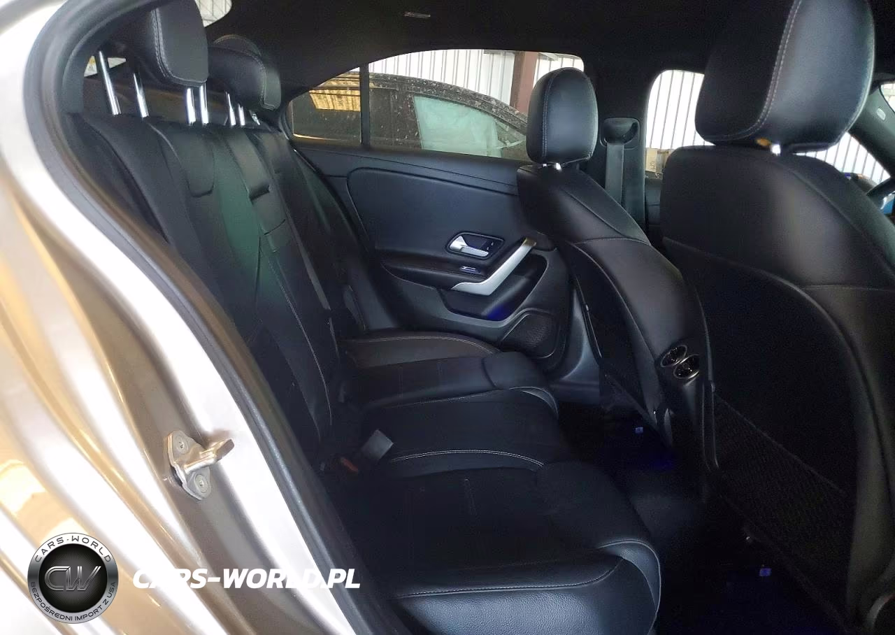 2020 Mercedes-Benz A 220 4Matic VIN:WDD3G4FB4LW038332 - 10
