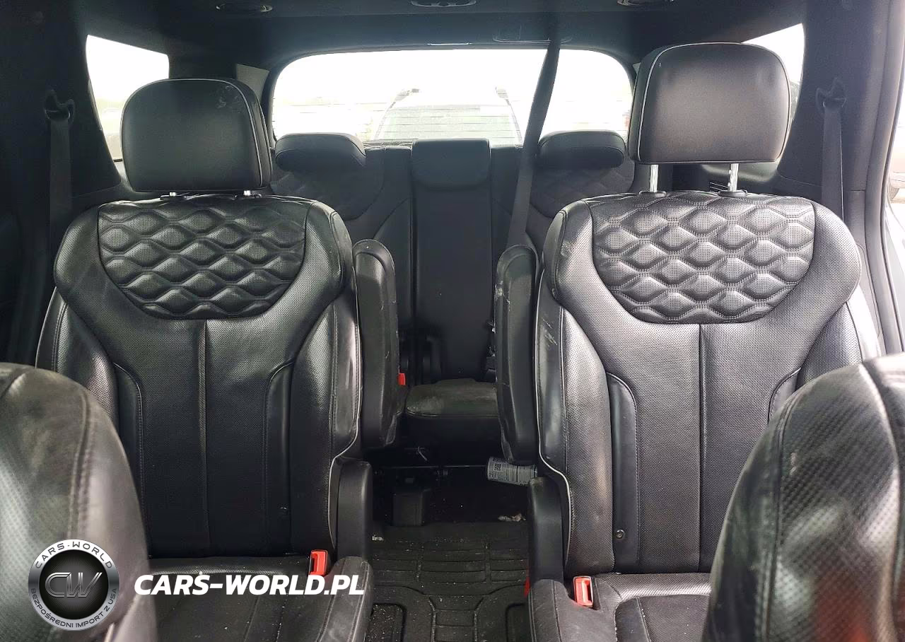 2020 Hyundai Palisade Limited VIN:KM8R5DHE9LU034611 - 10
