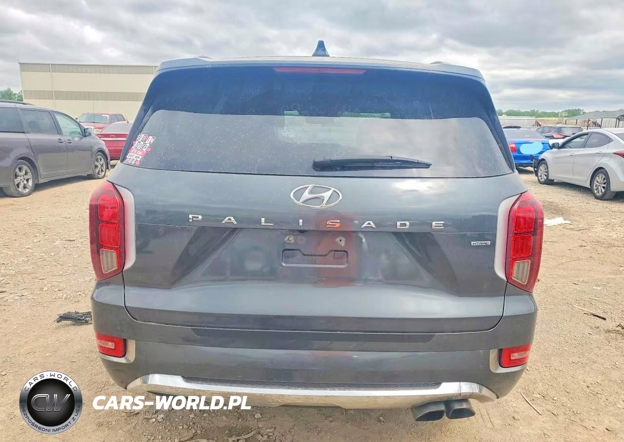 2020 Hyundai Palisade Limited VIN:KM8R5DHE9LU034611 - 6
