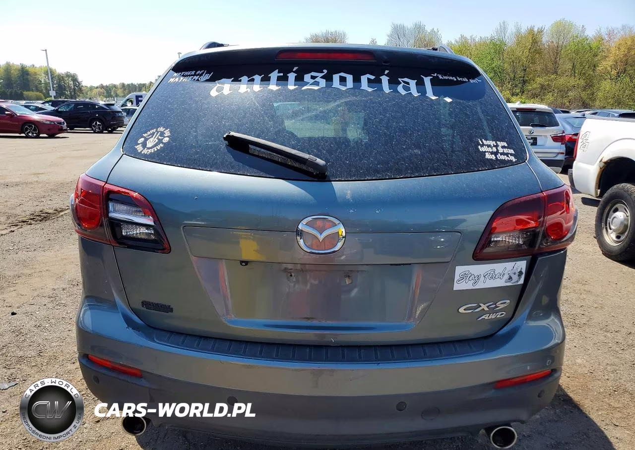 2013 Mazda Cx-9 Touring VIN:JM3TB3CV0D0401271 - 6