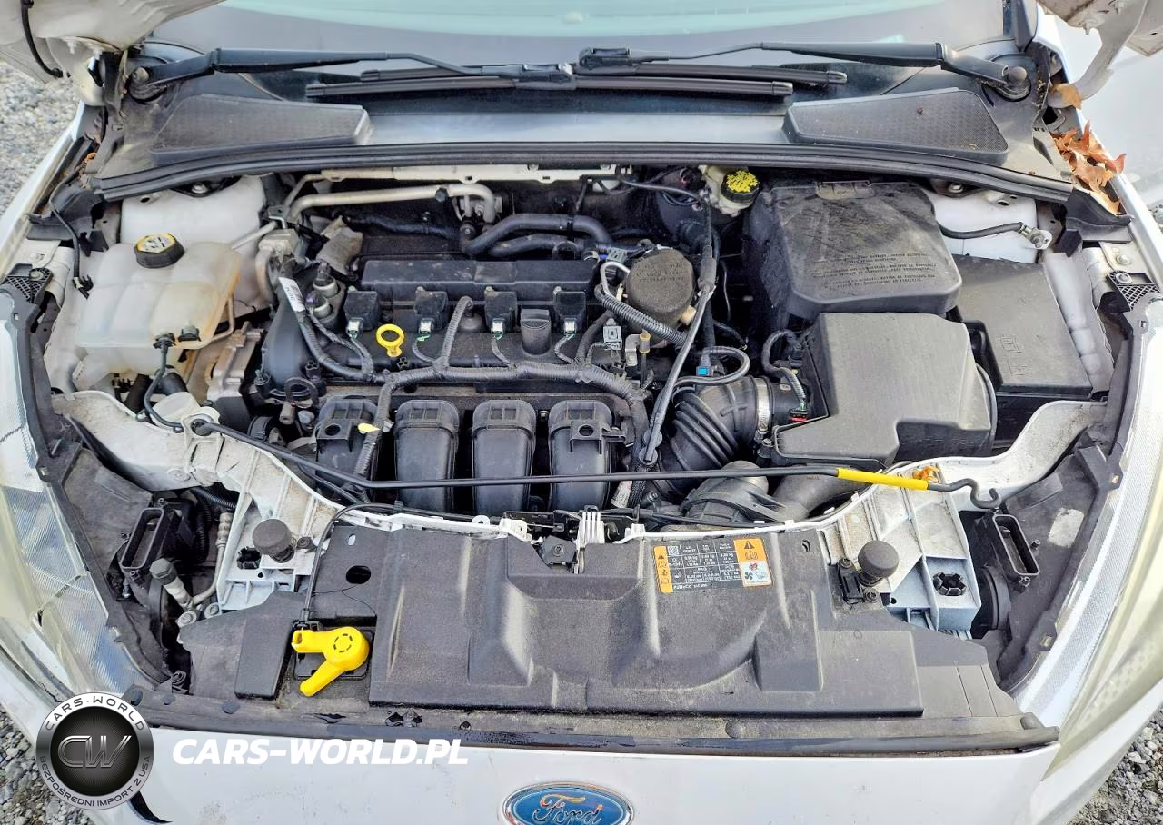 2015 Ford Focus Se VIN:1FADP3F25FL343875 - 11