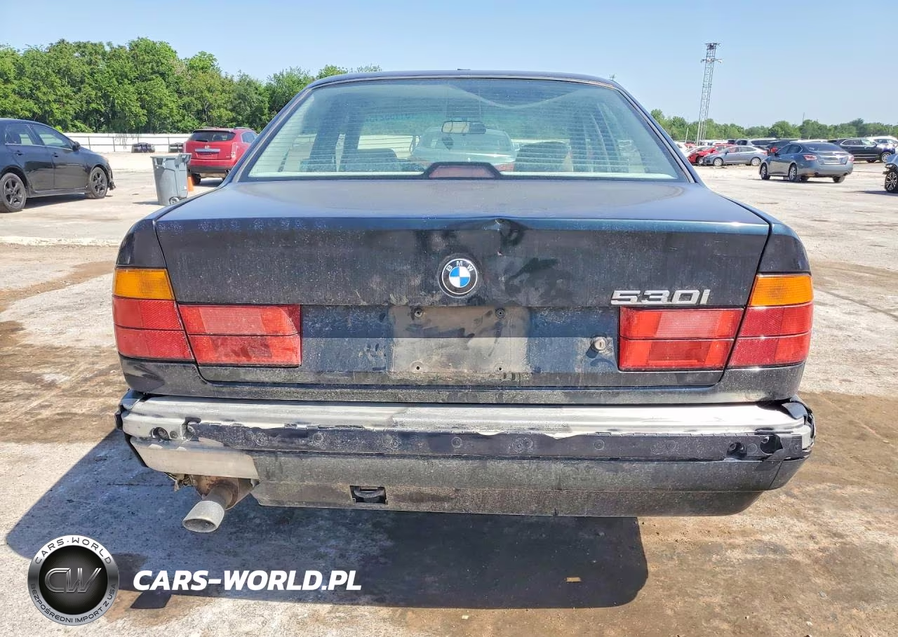 1995 BMW 530 I Automatic VIN:WBAHE2321SGE94439 - 6