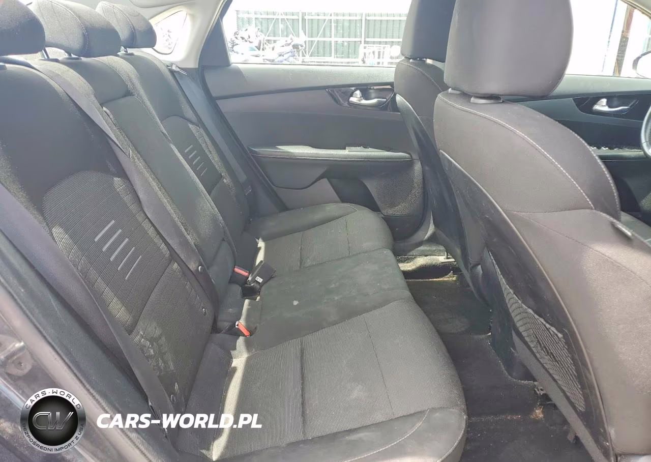 2019 Kia Forte S VIN:3KPF34AD6KE014702 - 10