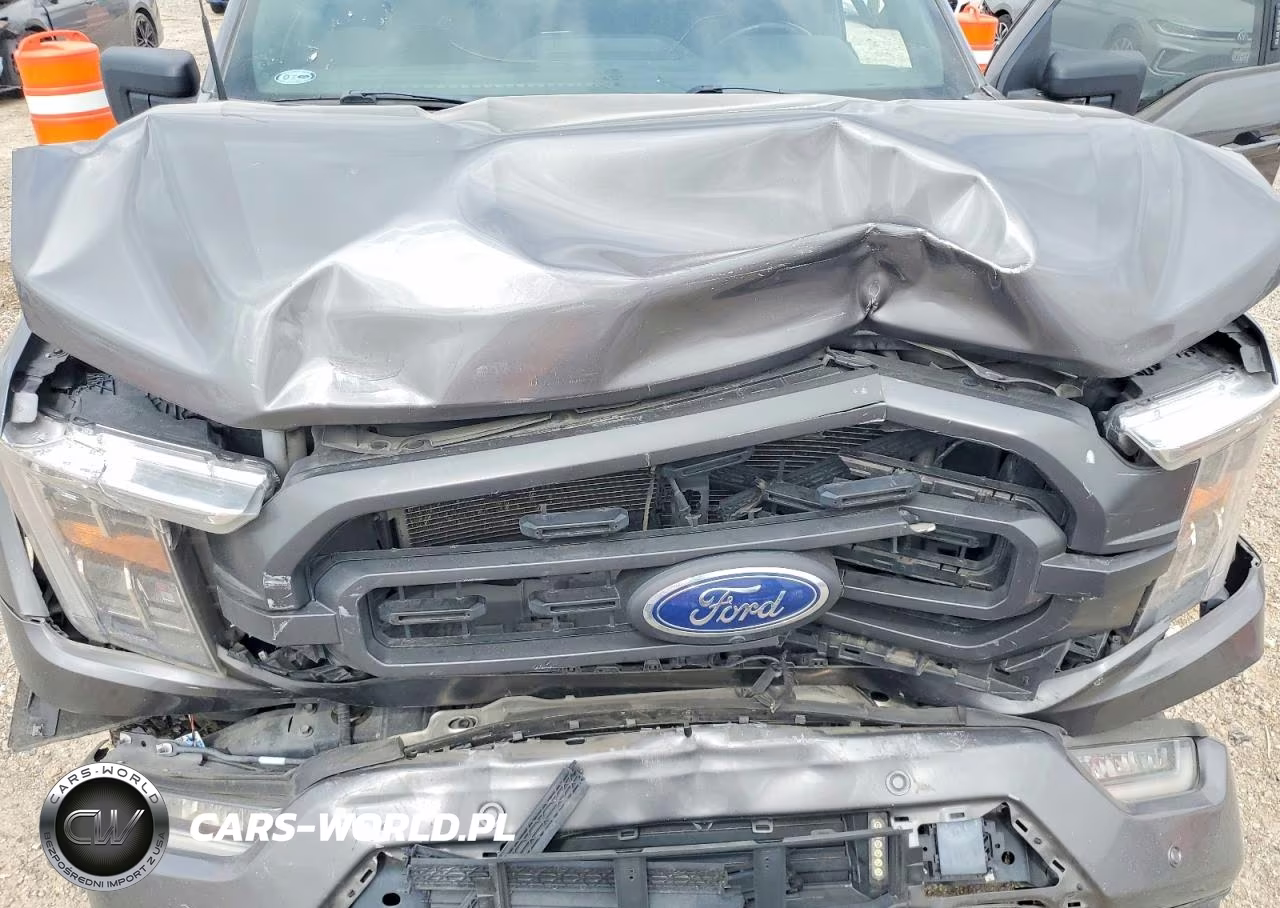 2022 Ford F150 Supercrew VIN:1FTEW1CP6NKD38467 - 11