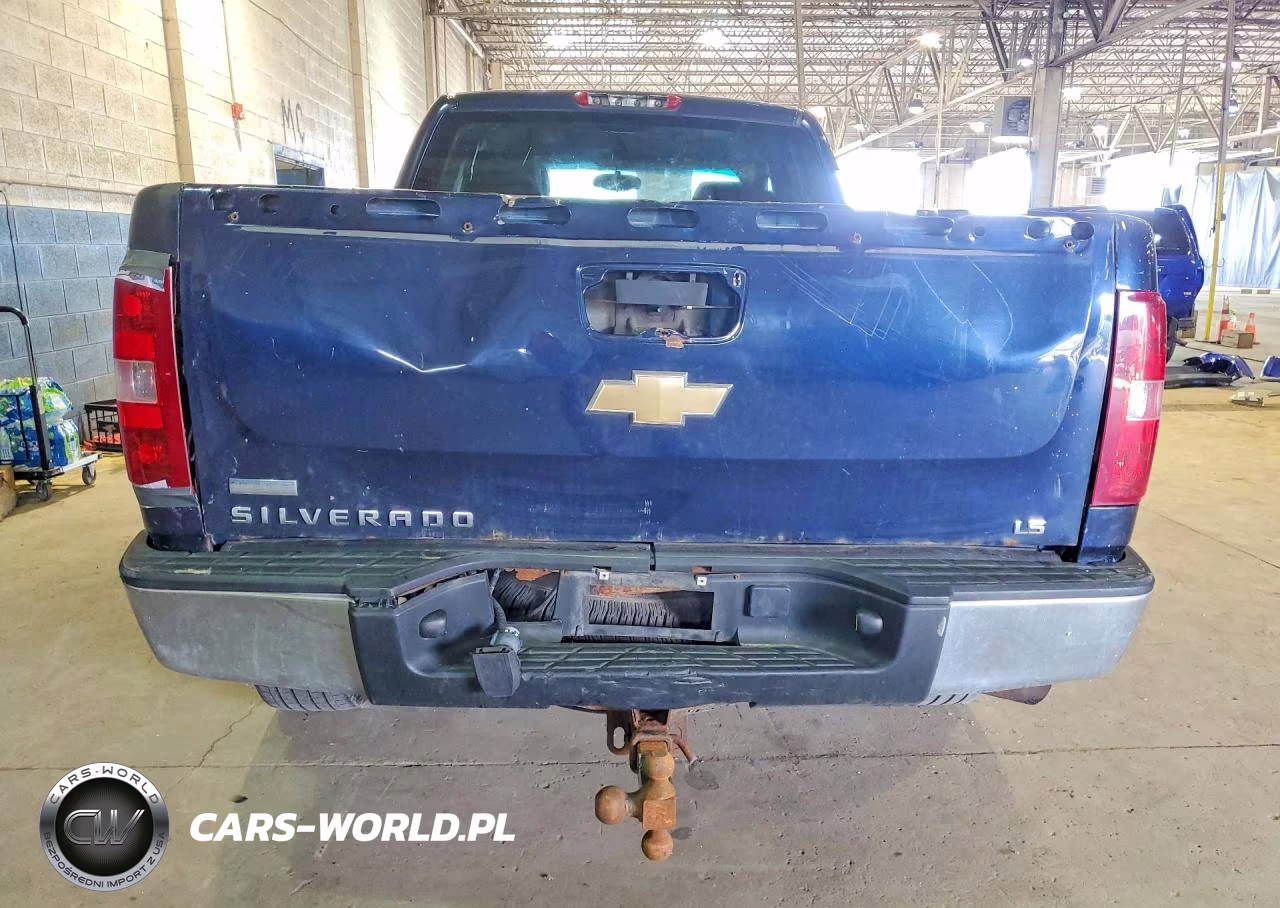 2010 Chevrolet Silverado K1500 Ls VIN:1GCSKREA8AZ172587 - 6