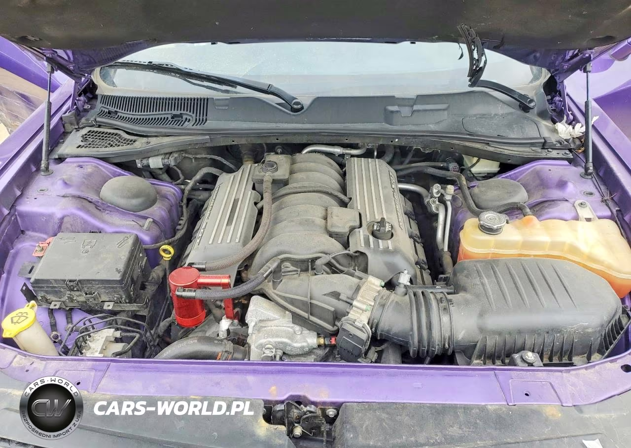 2016 Dodge Challenger R VIN:2C3CDZFJ3GH158185 - 11