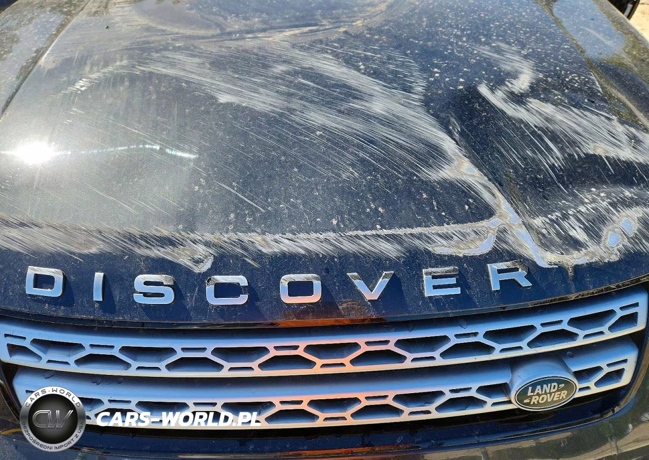 2019 Land Rover Discovery Hse Luxury VIN:SALRT2RV7K2401067 - 12