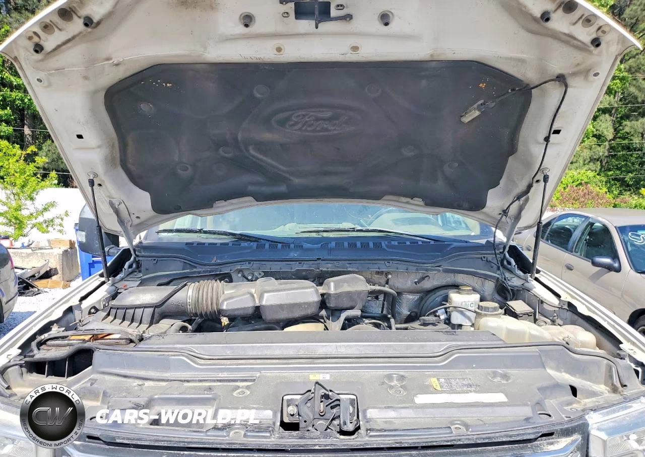 2019 Ford F250 Super Duty VIN:1FT7W2B60KEE99768 - 11